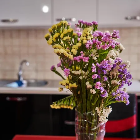 Apartamento Kalpazo New Bazzar